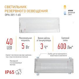 Светильник светодиодный аварийный DPA-301-1-65 постоянный 40LED 3ч IP65 Б0051843 ЭРА