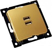 Розетка Мастер USB скрытой установки механизм золото IP20 РС-USB-420-07 Hegel