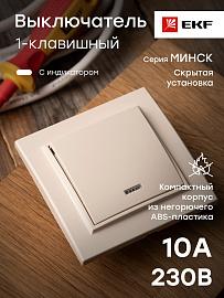 Выключатель одноклавишный Минск скрытой установки с индикацией 10А бежевый ERV10-121-20 EKF