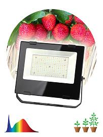 Фитопрожектор для растений светодиодный FITO-100W-Ra90-LED для цветения и плодоношения полного спектра 100 Вт ЭРА