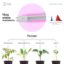 Фитолампа для растений светодиодная FITO-9W-RB-Т8-G13-NL красно-синего спектра 9 Вт Т8 G13 ЭРА