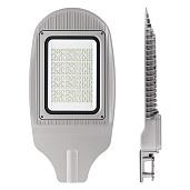 Уличный светильник WOLTA PRO ТРАССА ДКУ04-150-102-5К ШО140х60 150Вт 5000К IP65 Прозрачный
