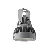 Светильник светодиодный ZENITH LED Ex FLOODLIGHT G2/B 130W D60 850 HG 1226001060 Световые Технологии