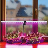 Светильник светодиодный для растений Т5 14Вт 21μmol/s 880мм шнур 2м штатив с регулировкой 56303 7 Ritter