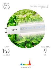Фитолампа для растений светодиодная FITO-9W-Ra90-Т8-G13-NL полного спектра 9 Вт Т8 G13 ЭРА