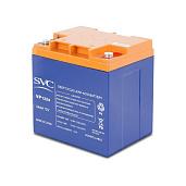Аккумулятор свинцово-кислотный (аккумуляторная батарея)  необслуживаемый 12В 24 Ач DL-SVC-VP1224 SVC