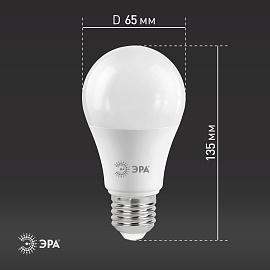 Лампа светодиодная 21 Вт E27 A65 2700К 1680Лм матовая 170-265В грушевидная ( LED A65-21W-827-E27 ) Б0035331 ЭРА