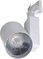 Светильник светодиодный COPER/T LED 30 W D45 3000K 1437000260 Световые технологии
