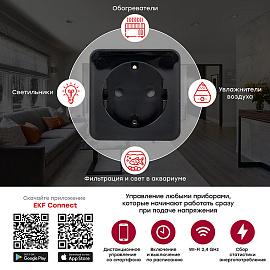 Розетка умная Wi-Fi PRO HomeСonnect черная RCS-2-WF EKF