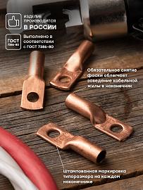 Наконечник медный ТМ 50-10-11 PROxima tm-50-10-11 EKF