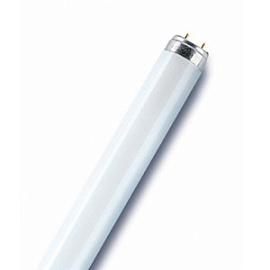 Лампа линейная люминесцентная ЛЛ 18Вт L18W/830 LUMILUX T8 G13 теплая-белая 4050300517810 OSRAM