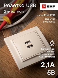 Розетка 2 USB Минск скрытой установки 2,1А+2,1А в сборе бежевый ERR-2 USB-200 EKF