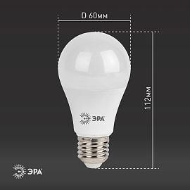 Лампа светодиодная 13 Вт E27 A60 6000К 1040Лм матовая 170-265В груша ( LED A60-13W-860-E27 ) Б0031395 ЭРА