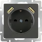 Розетка USBх2 с заземлением со шторками механизм серо-коричневый IP20 WL07-SKGS-USBx2-IP20 Werkel