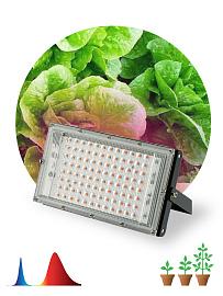 Фитопрожектор для растений светодиодный FITO-80W-RB-LED-Y красно-синего спектра со скобой 80 Вт ЭРА
