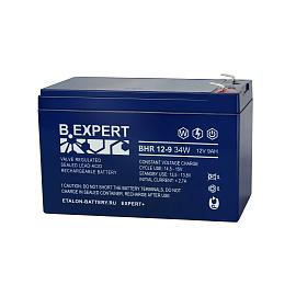 Аккумулятор EXPERT BHR 12-9 34W 500-12/009S