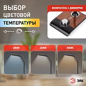 Светильник светодиодный настольный 10Вт LED черный с деревом ( NLED-473-10W-BK ) Б0033305 ЭРА