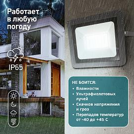 Прожектор светодиодный 100Вт 6500К 9500Лм PRO ( LPR-061-0-65K-100 ) Б0043592 ЭРА