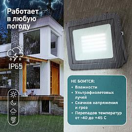 Прожектор светодиодный 50Вт 6500К 4600Лм PRO ( LPR-061-0-65K-050 ) Б0043591 ЭРА