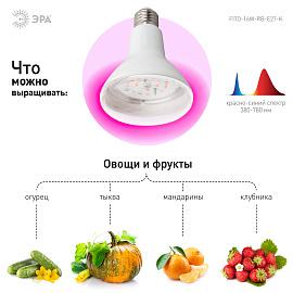 Фитолампа для растений светодиодная FITO-16W-RB-E27-K красно-синего спектра 16 Вт Е27 ЭРА