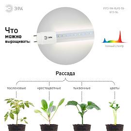 Фитолампа для растений светодиодная FITO-9W-Ra90-Т8-G13-NL полного спектра 9 Вт Т8 G13 ЭРА