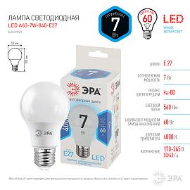 Лампа светодиодная 7 Вт E27 A60 4000К 560Лм матовая 170-265В грушевидная ( LED A60-7W-840-E27 ) Б0029820 ЭРА