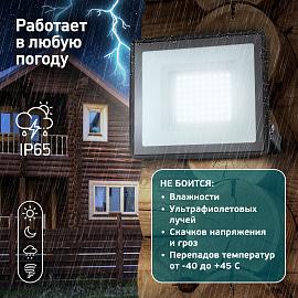 Прожектор светодиодный уличный ЭРА LPR-023-0-65K-100 100Вт 6500K 8000Лм IP65 Б0052026