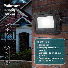 Прожектор светодиодный 20Вт 6500К 1900Лм PRO ( LPR-061-0-65K-020 ) Б0043589 ЭРА