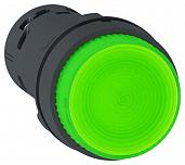 Кнопка управления 22мм 220В зеленая с подсветкой XB7NJ0361 Schneider Electric
