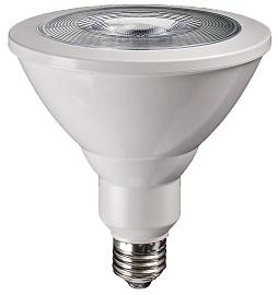 Лампа светодиодная 15Вт E27 PAR38 185-265В рефлекторная для растений AGRO  .5004702 Jazzway