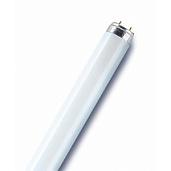 Лампа линейная люминесцентная ЛЛ 18Вт L18W/840 LUMILUX T8 G13 холодная-белая (Германия) 4050300517797 OSRAM