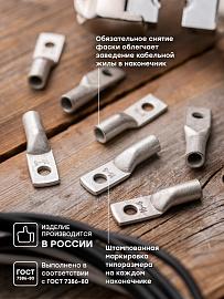 Наконечник медный луженый ТМЛ 16-6-6 PROxima tml-16-6-6-g EKF