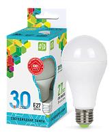 Лампа светодиодная 30 Вт LED-A70-std 2700Лм 230В E27 4000К 4690612024653 ИН ХОУМ