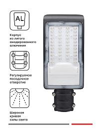 Светильник светодиодный консольный ДКУ-9001-Ш SLL-9001-30-5000