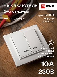 Выключатель двухклавишный Минск скрытой установки с индикацией 10А белый ERV10-123-10 EKF