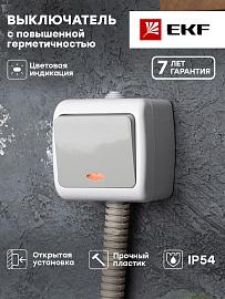 Выключатель одноклавишный Мурманск открытой установки IP54 с индикацией 10А серый EFV10-121-30-54 EKF PROxima