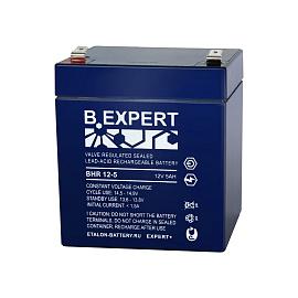 Аккумулятор EXPERT BHR 12-5 500-12/005S