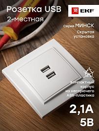 Розетка 2 USB Минск скрытой установки 2,1А+2,1А в сборе белый ERR-2 USB-100 EKF