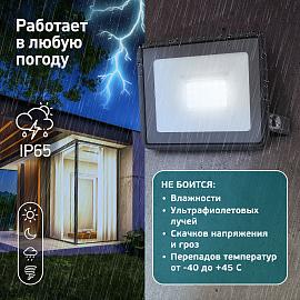 Прожектор светодиодный уличный ЭРА LPR-023-0-65K-030 30Вт 6500K 2400Лм IP65 Б0052023