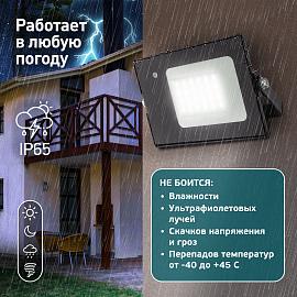 Прожектор светодиодный 20Вт LPR-041-1-65K-020 со встроенным микроволновым датчиком движния 6500К 1400Лм IP 65 Б0043574 ЭРА