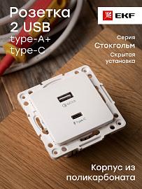 Стокгольм Механизм Розетки с 2USB type-A + type-C белый  EKF PROxima