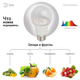 Фитолампа для растений светодиодная FITO-11W-Ra90-E27 полного спектра 11 Вт Е27 ЭРА