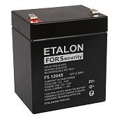 Аккумулятор ETALON FS 12045 100-12/045S