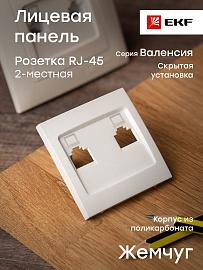 Панель лицевая Валенсия скрытой установки для розетки RJ45+RJ45 компьютерной кашемир ESK02-L-035-40 EKF PROxima