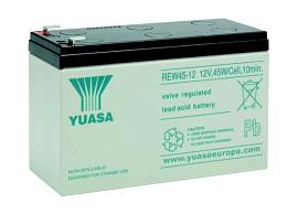 Аккумуляторная батарея Yuasa REW 45-12
