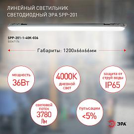 Светильник светодиодный линейный IP65 36Вт 3780Лм 4000К 1200мм прозр SPP-201-1-40K-036 Б0047176 ЭРА