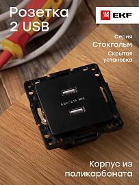 Розетка 2 USB Стокгольм скрытой установки 2,1А+2,1А механизм черный EZR16-028-10-2USB EKF PROxima