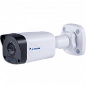 Камера видеонаблюдения (видеокамера наблюдения) IP уличная цилиндрическая, объектив фиксированный 4 мм GV-ABL4701 GEOVISION