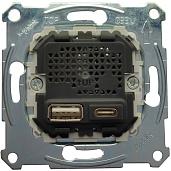 Механизм Merten скрытой установки розетки USB-зарядки A+C, 2,4 А MTN4366-0110 Systeme Electric