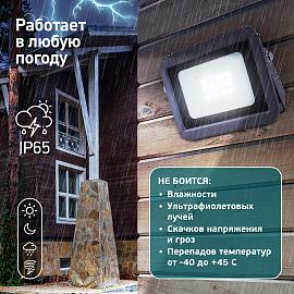 Прожектор светодиодный 10Вт 6500К 950Лм PRO ( LPR-061-0-65K-010 ) Б0043588 ЭРА